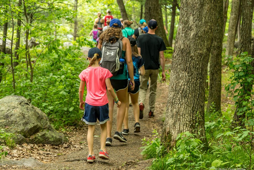 Busy Trail