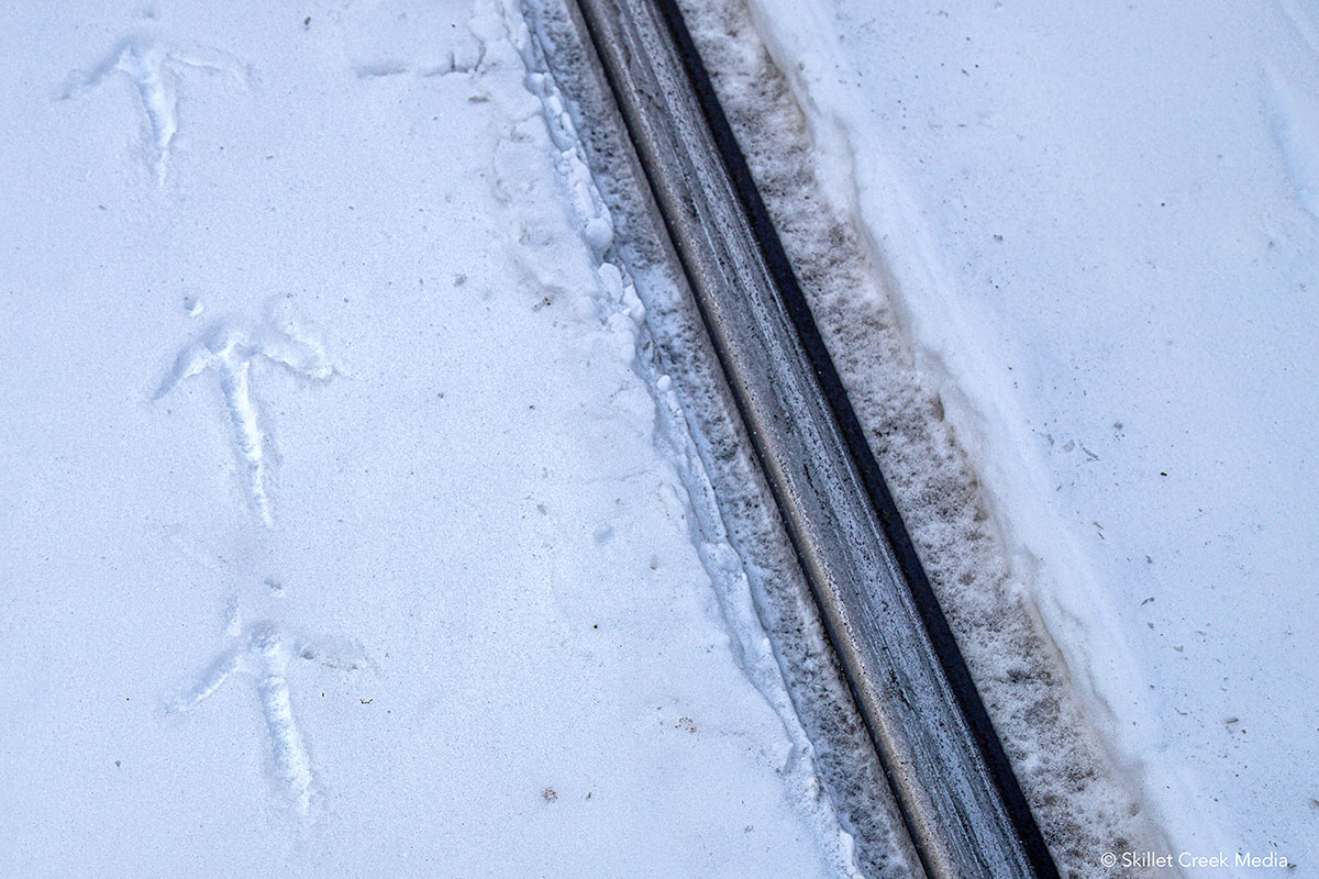 Turkey & Train Track in the Snow