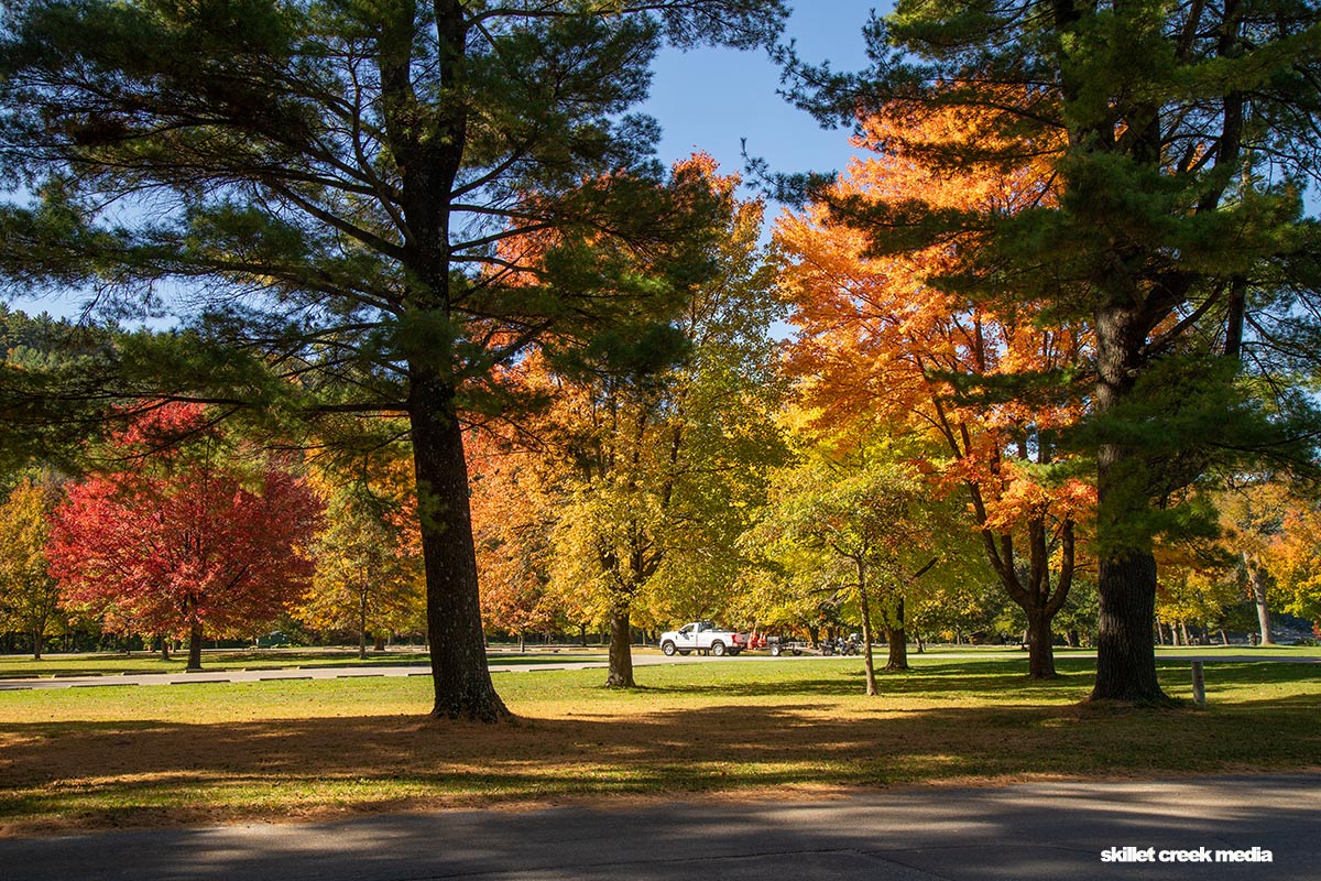 Fall Colors