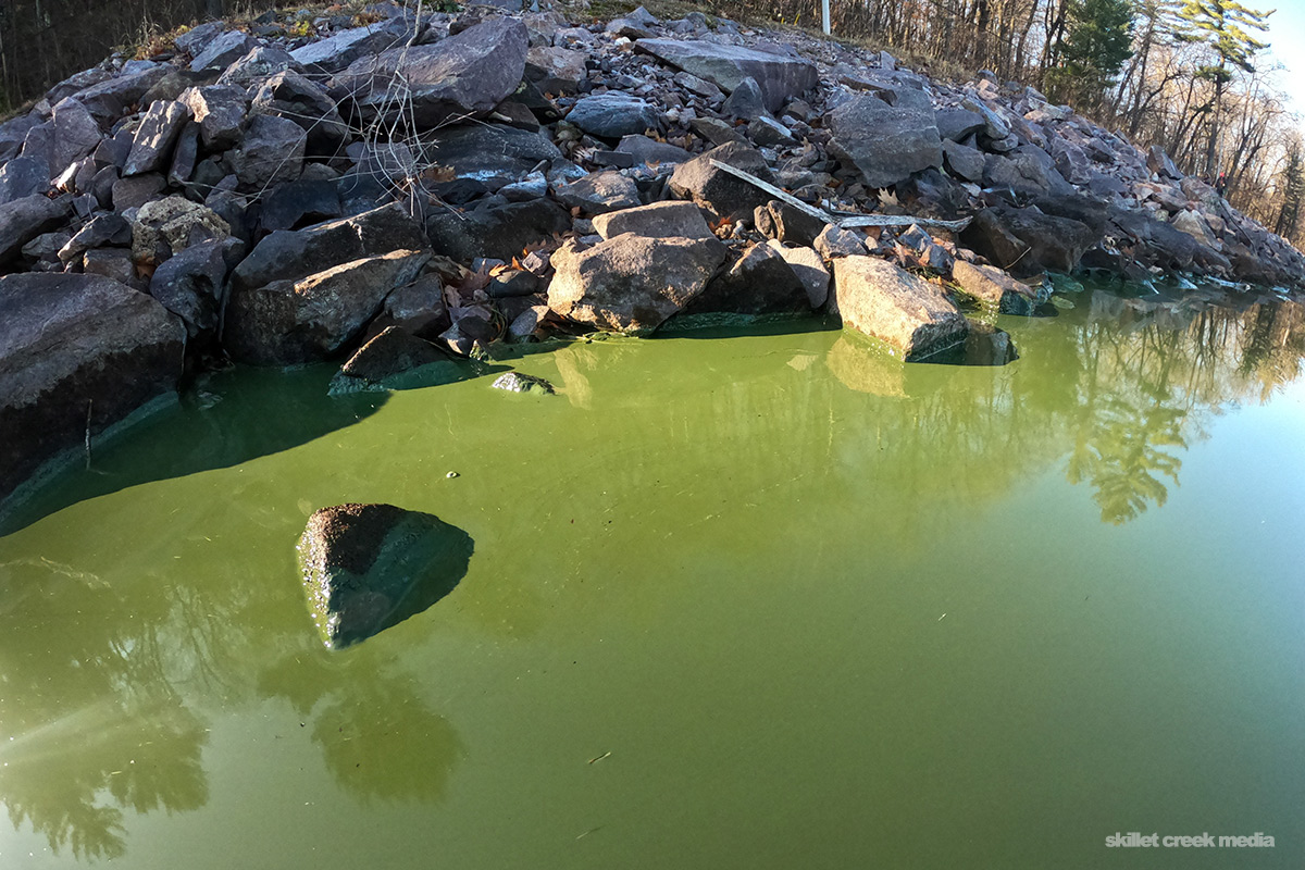 Algae Devil's Lake State Park