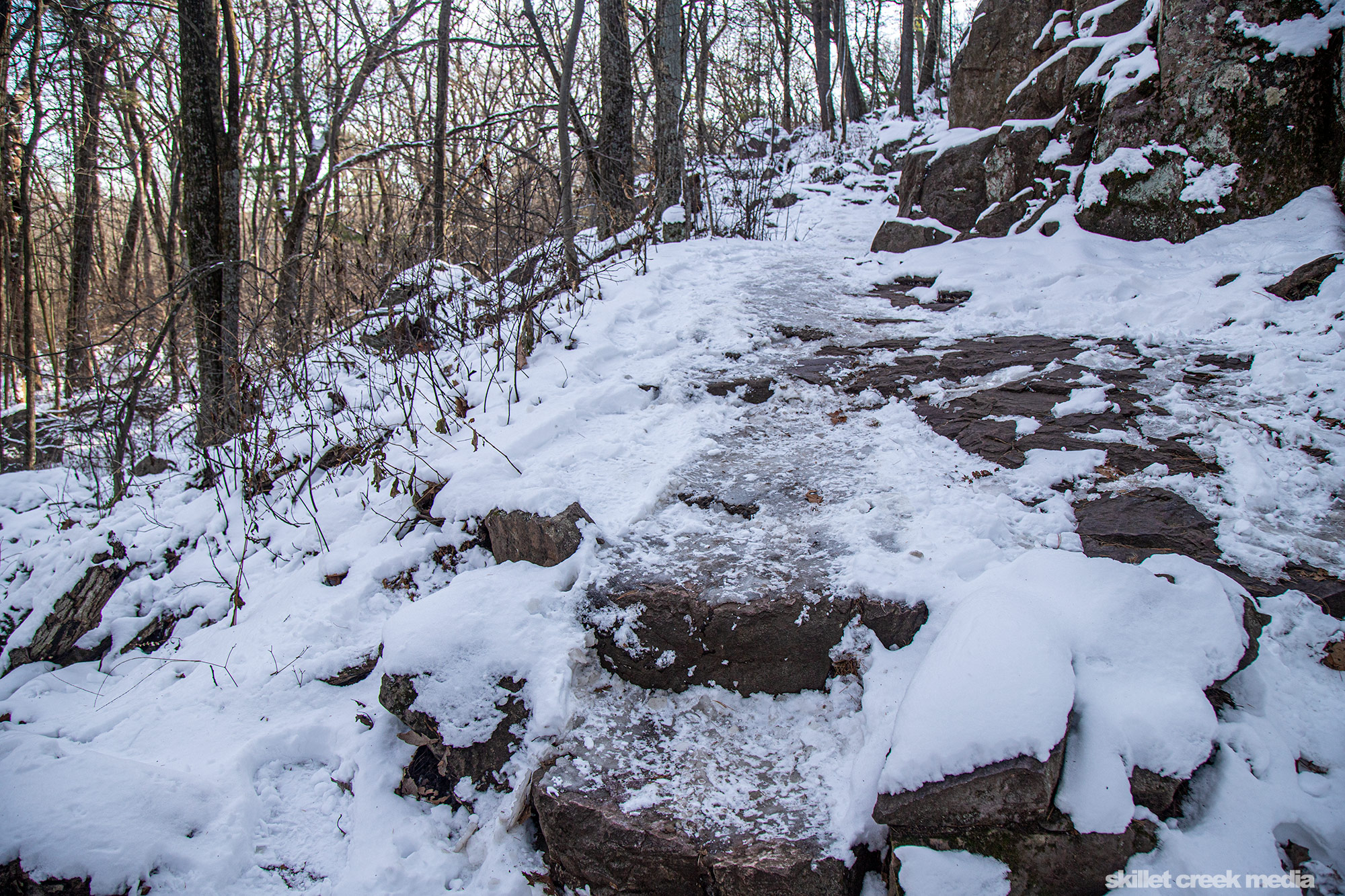 Ice on East Bluff Trail