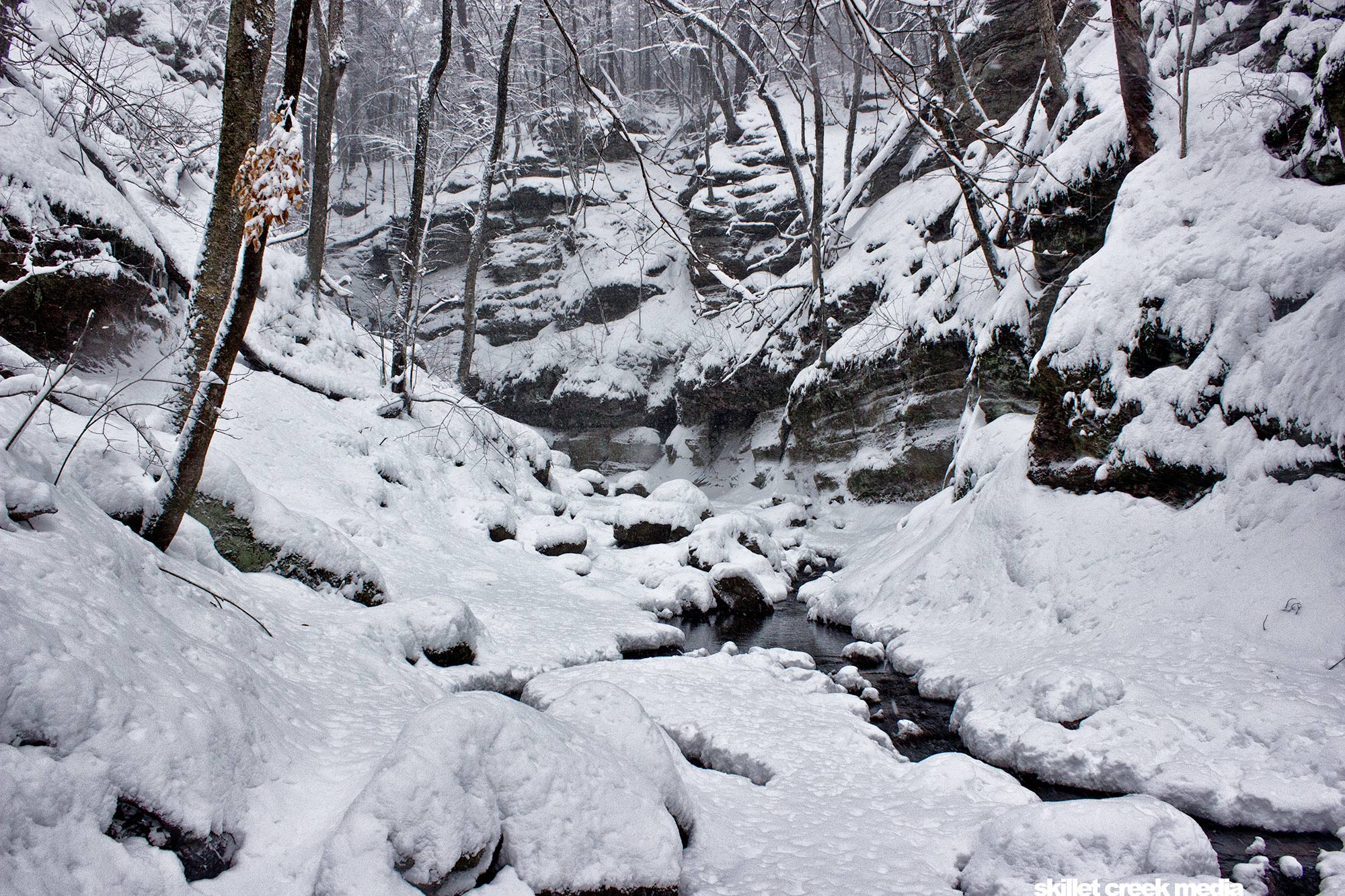 Parfrey's Glen Winter