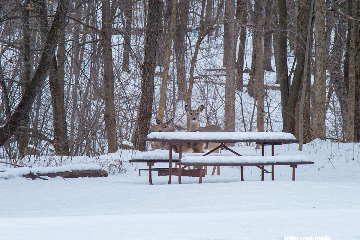 Deer Quartzite Campground