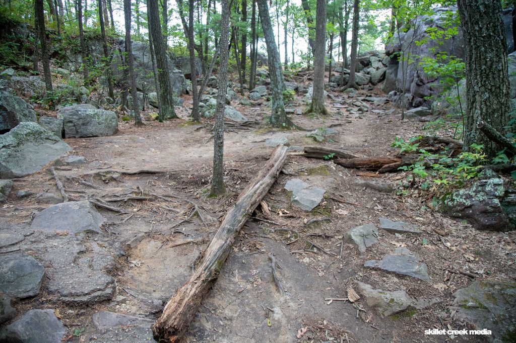 East Bluff Trail Damage