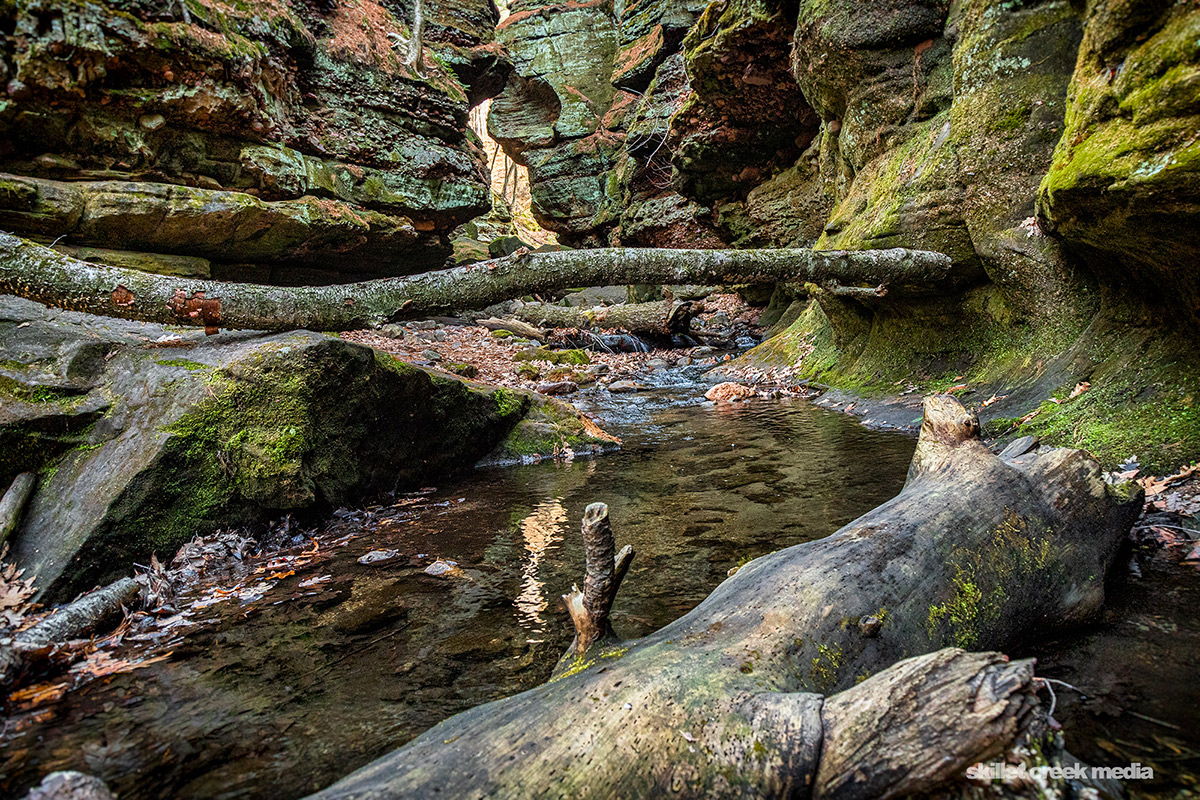 Parfrey's Glen State Natural Area