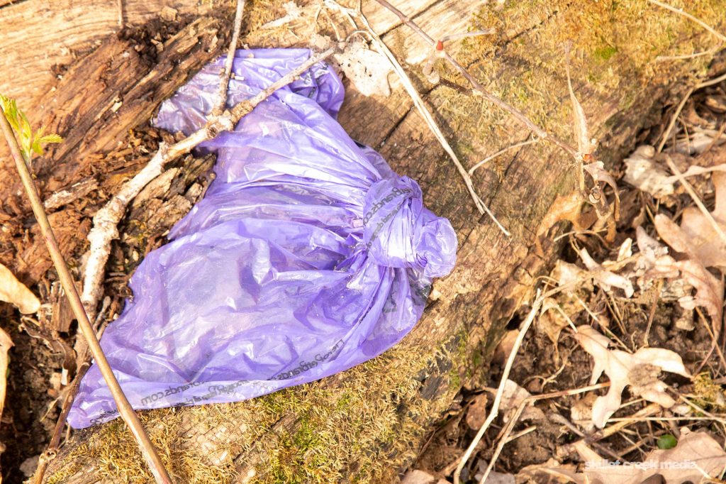 Dog poop bag left in the forest.