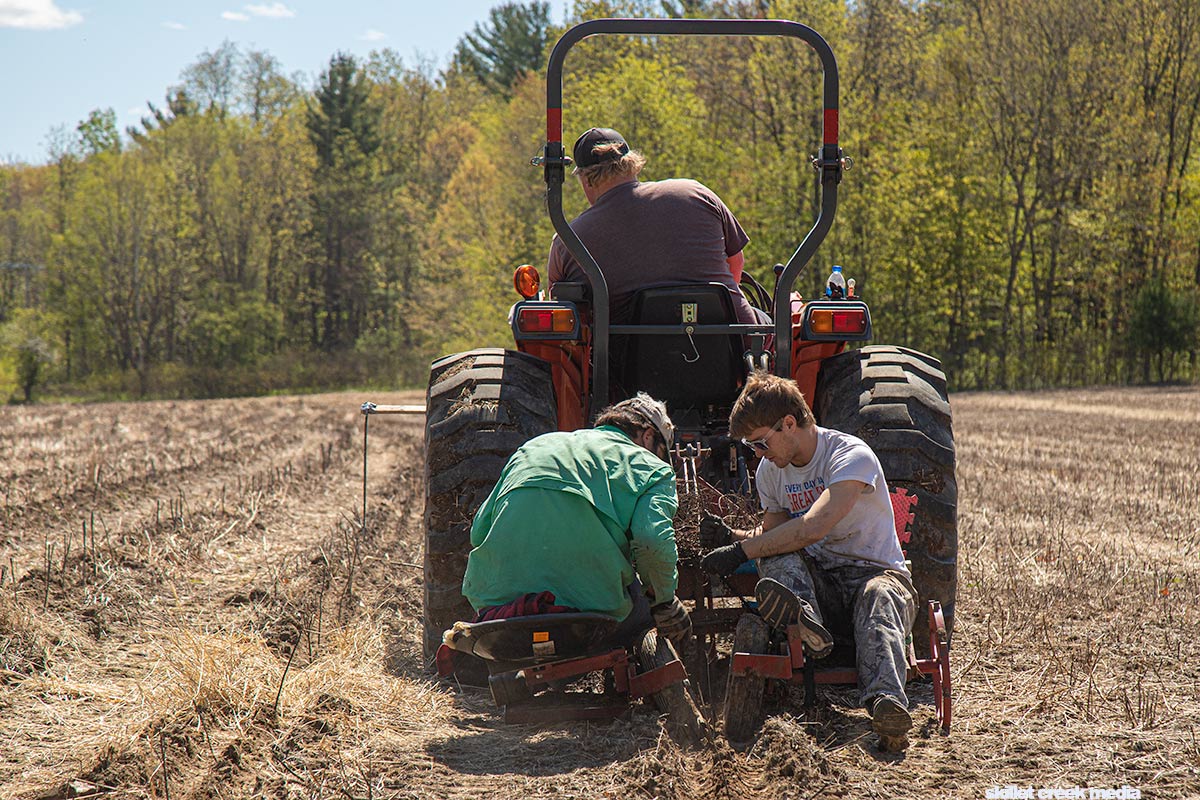 Planting Trees at Devil's Lake State Park