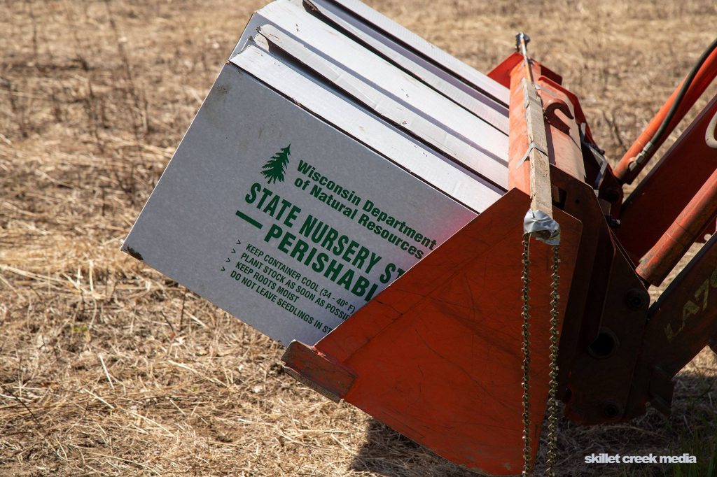 Boxes of nursery trees.