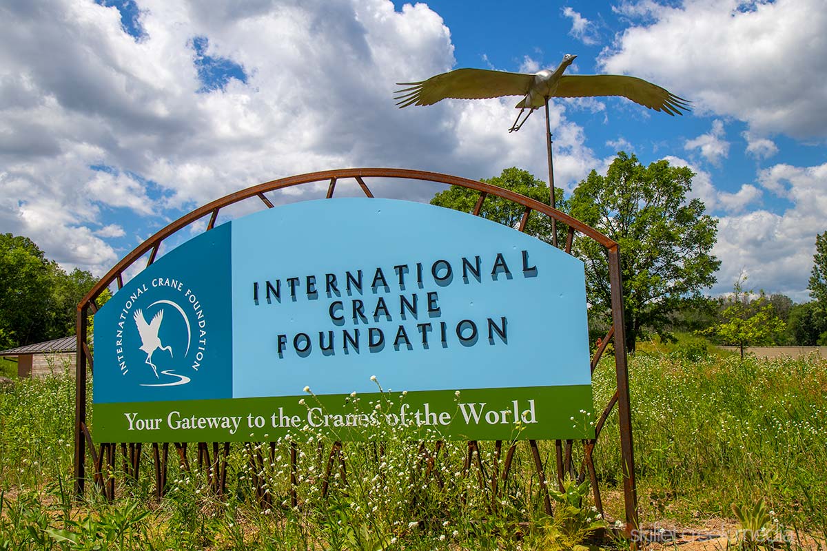 International Crane Foundation