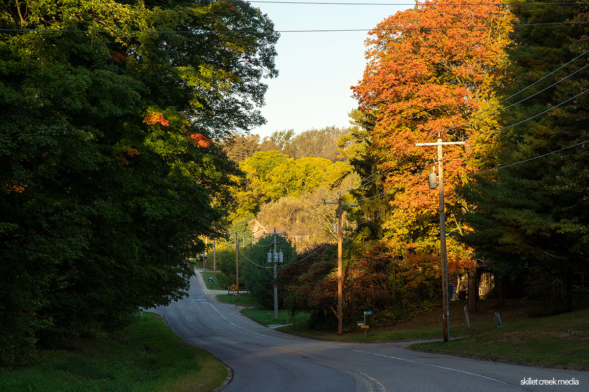 Fall Color County DL