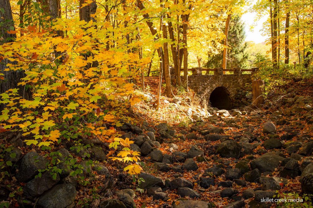 Fall Color Devil's Lake State Park