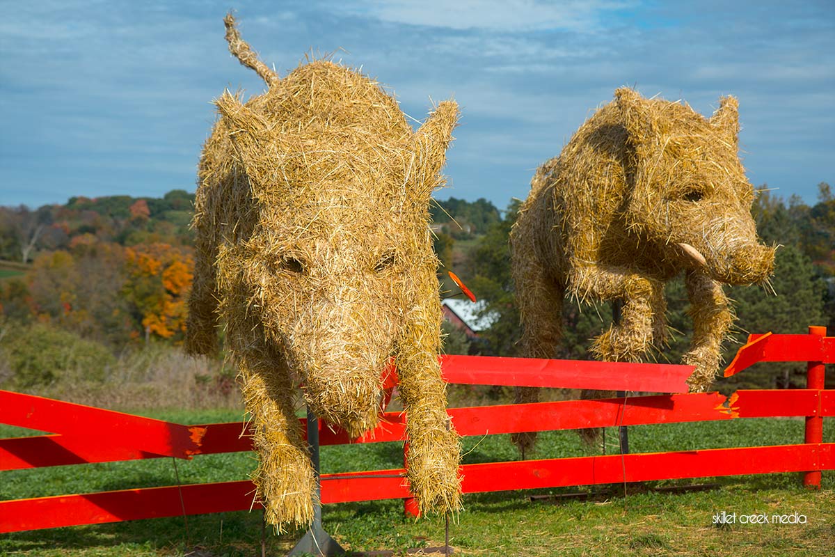 Farm Art Dtour