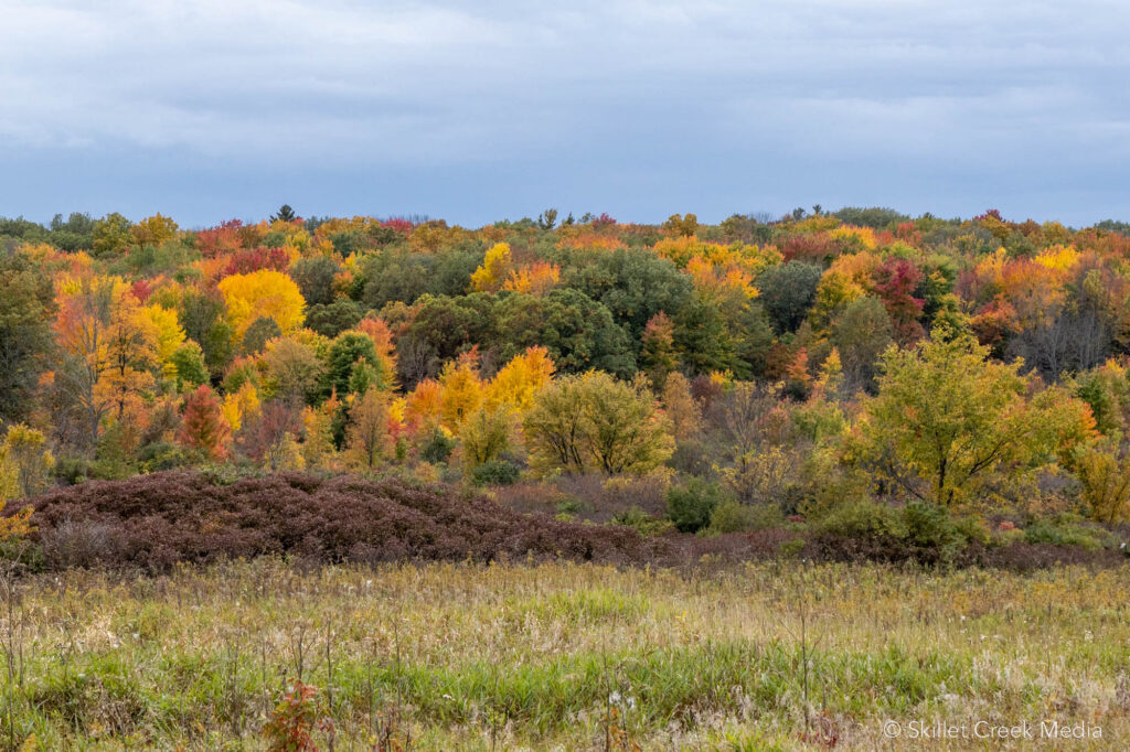 Fall Colors on Steinke Basin