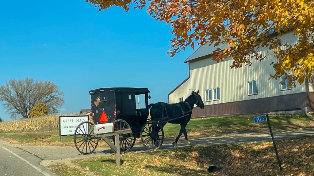 Amish Buggy