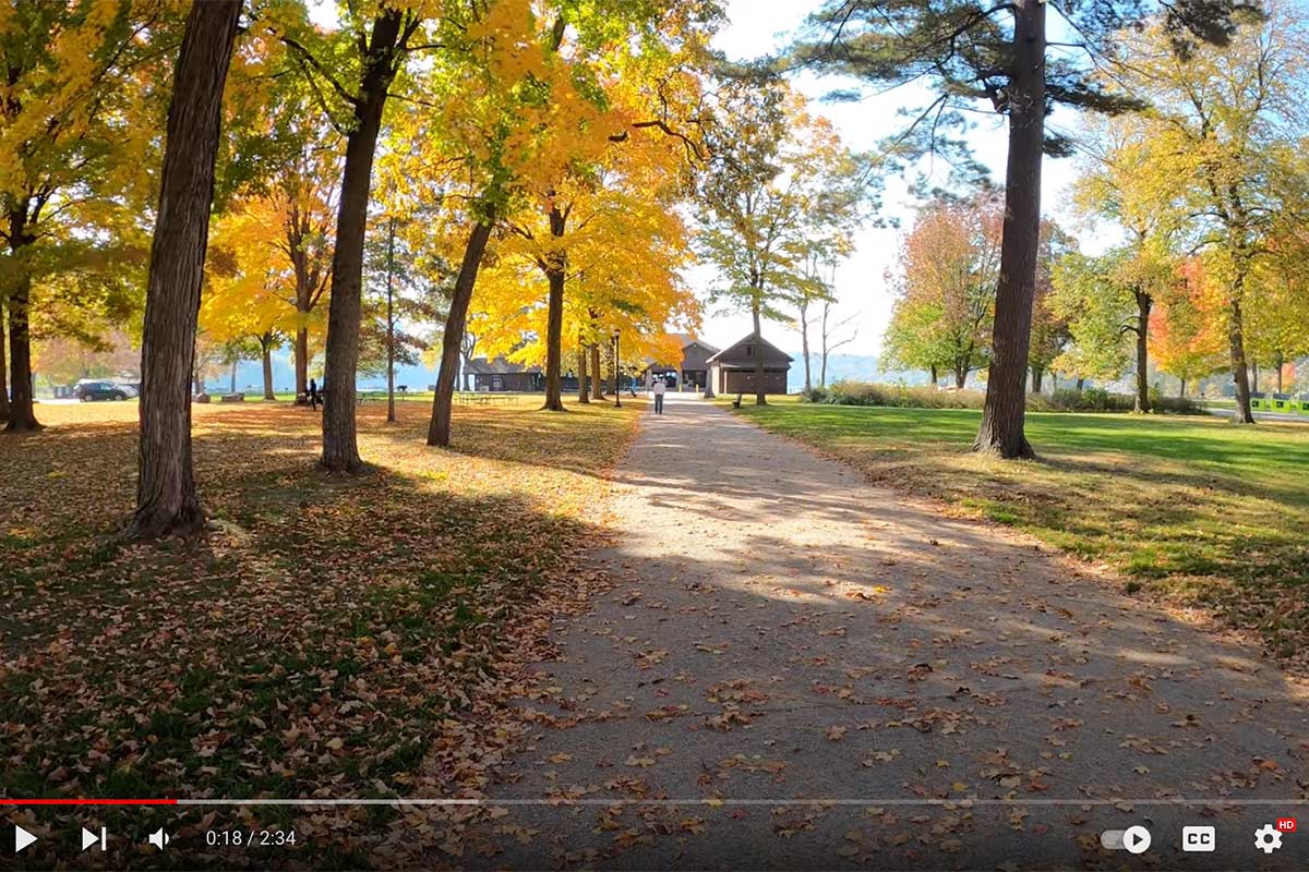 Video View of Autumn