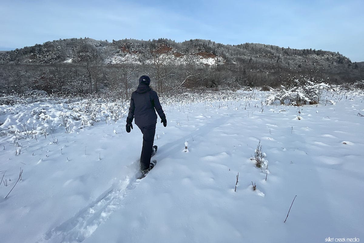 Snowshoe Roznos Meadow