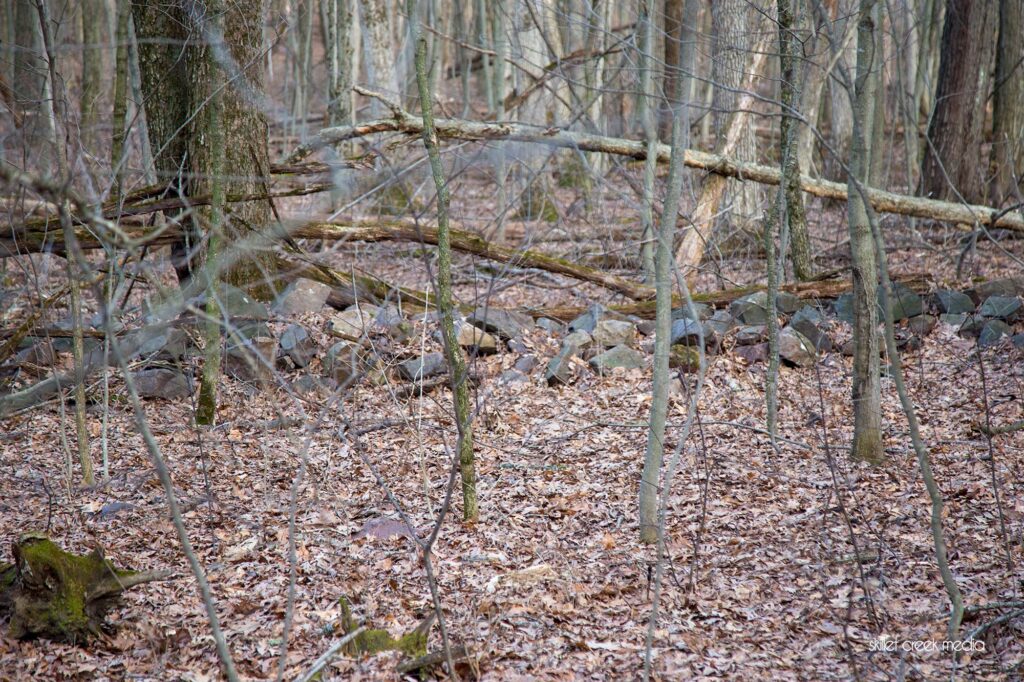 Stone Row, Devil's Lake State Park