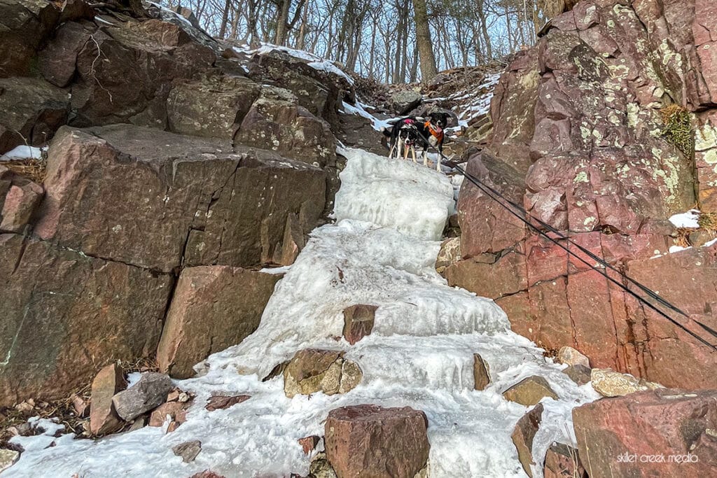Pups above the ice flow on Devil's Lake State Park's Potholes Trail on February 7