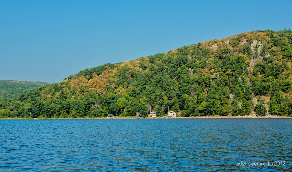 Dying trees on the West Bluff. Drought of 2012.