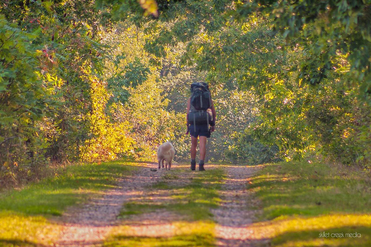 Hiking With Dog