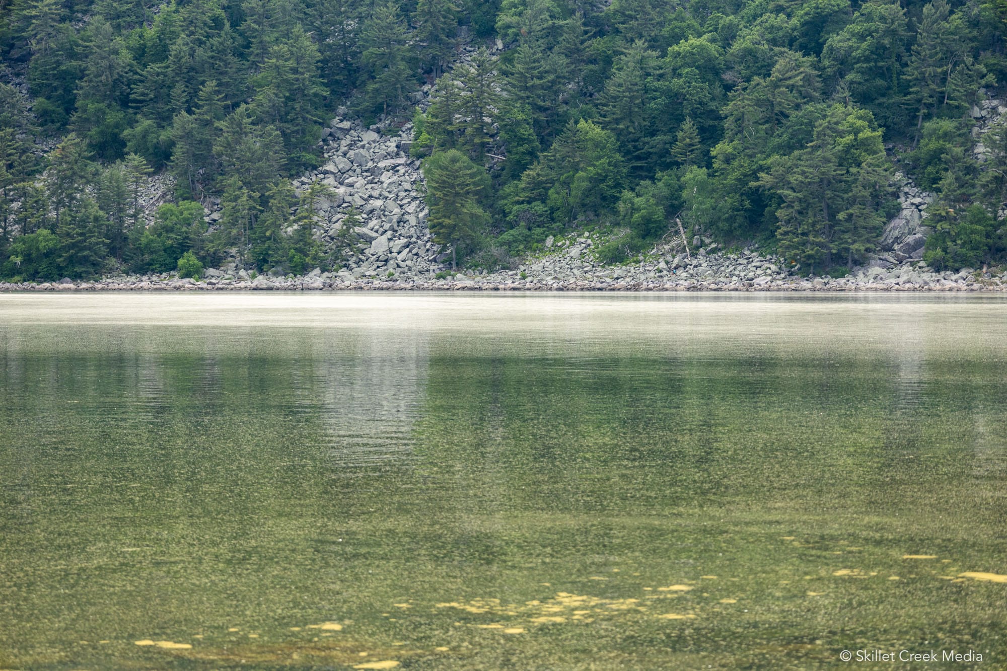 Pollen Floating on Devil's Lake.