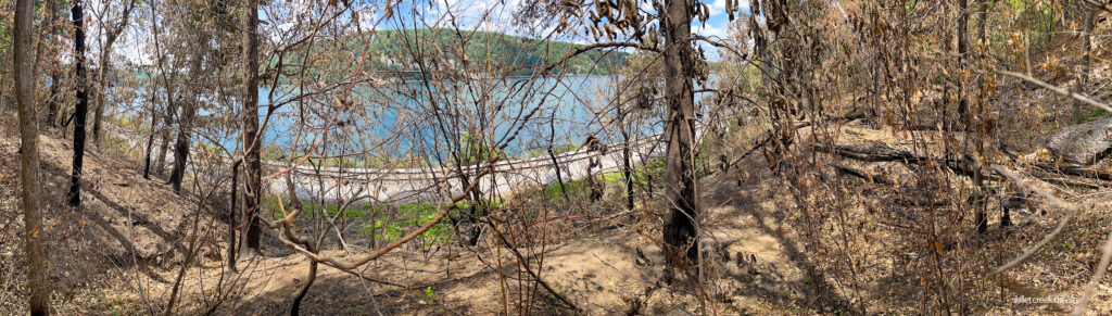 Panoramic image taken from fire location on East Bluff