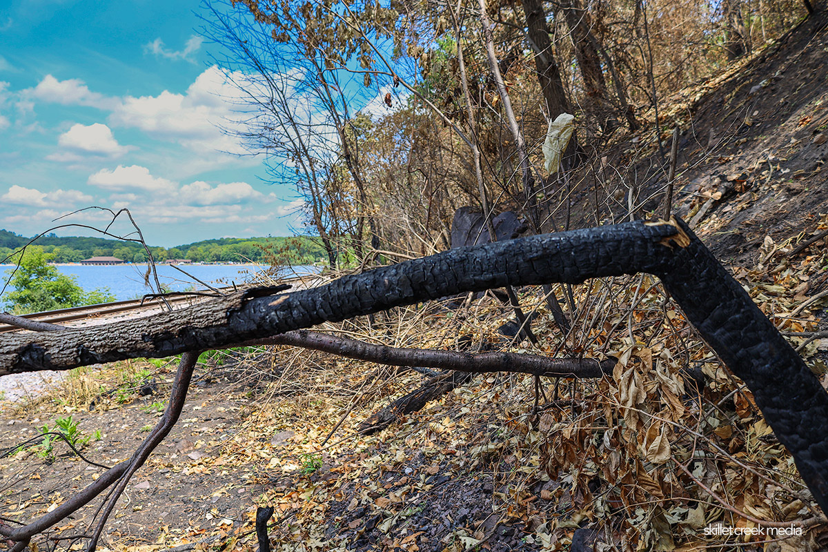 Fire Aftermath, Devil's Lake State Park