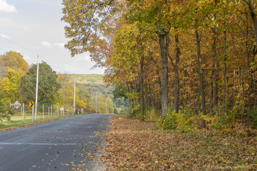 Fall Color Photo