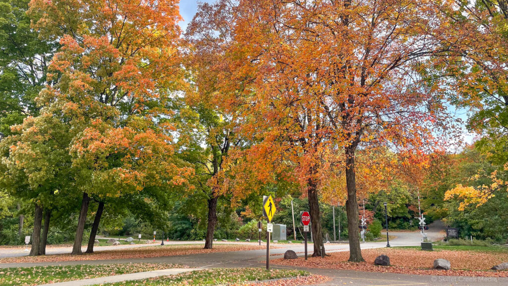 Fall Color Photo