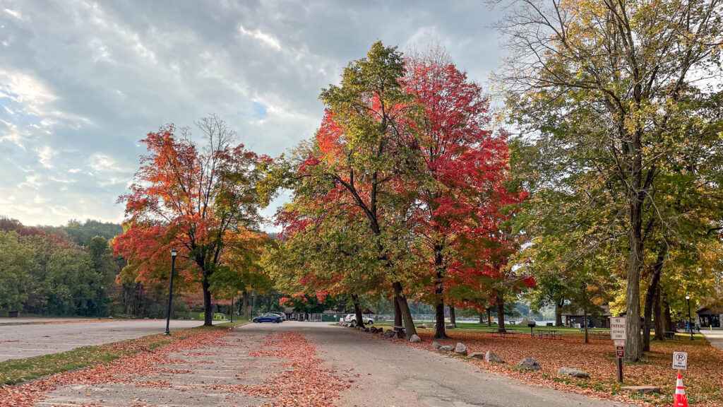 Fall Color Photo