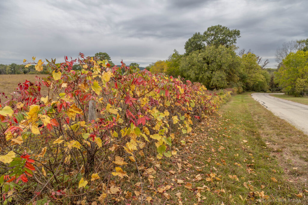 Fall Colors in the Baraboo Area