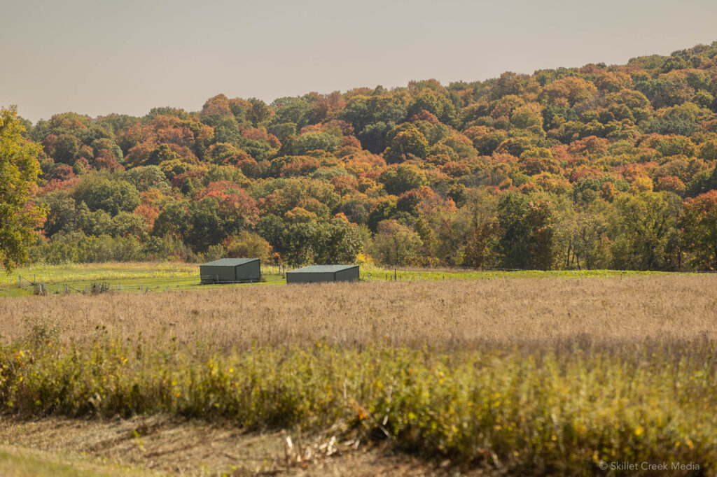 Fall Colors in the Baraboo Area