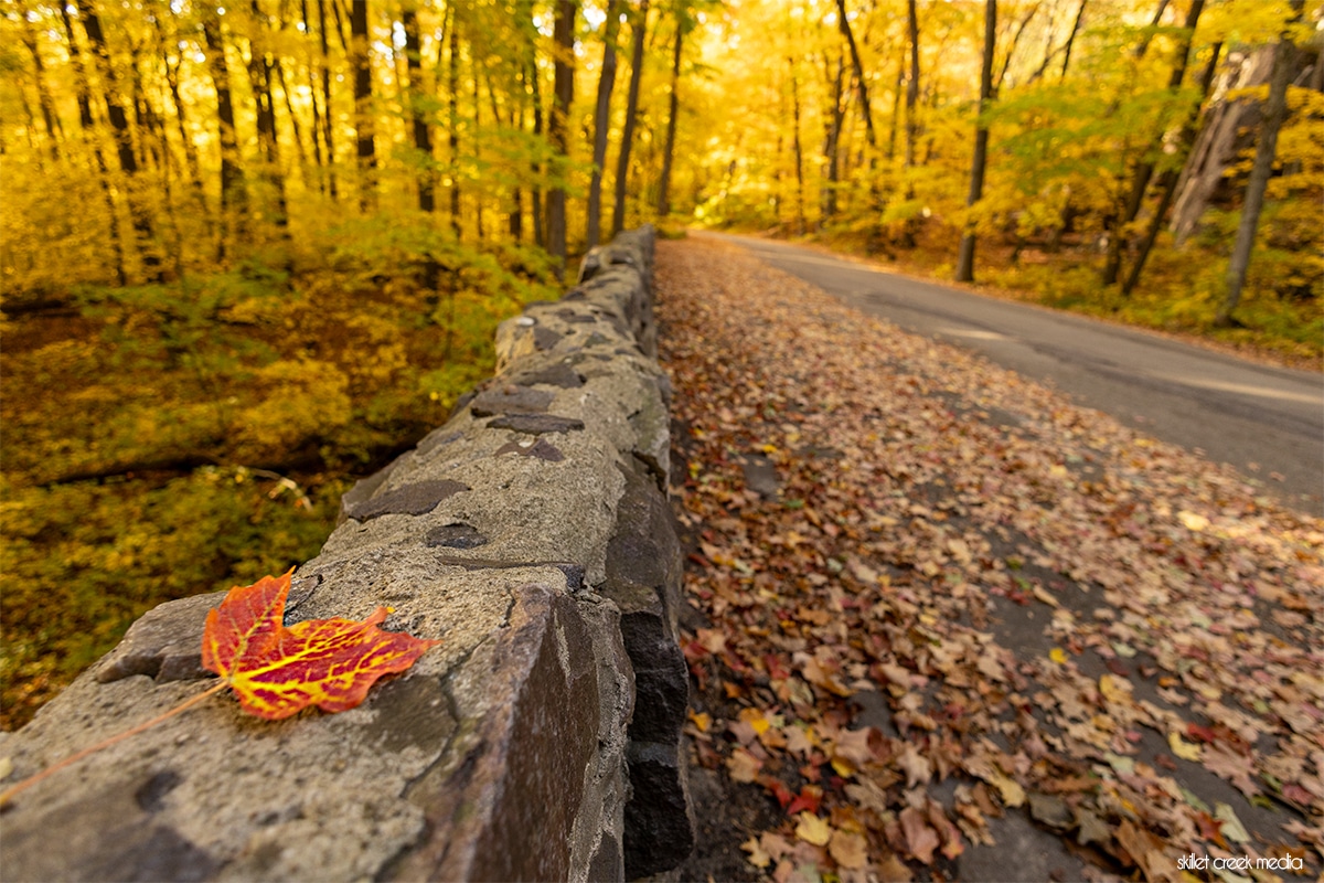 Fall Color 2023 Devil's Lake North Shore