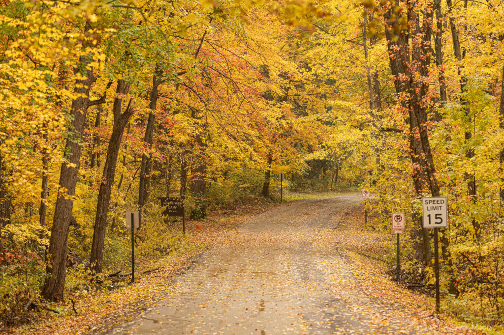 Devil's Lake State Park Color Photo