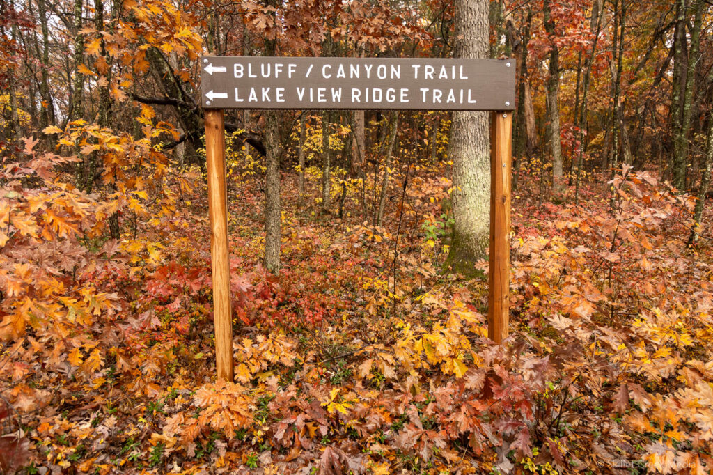 Mirror Lake State Park Color