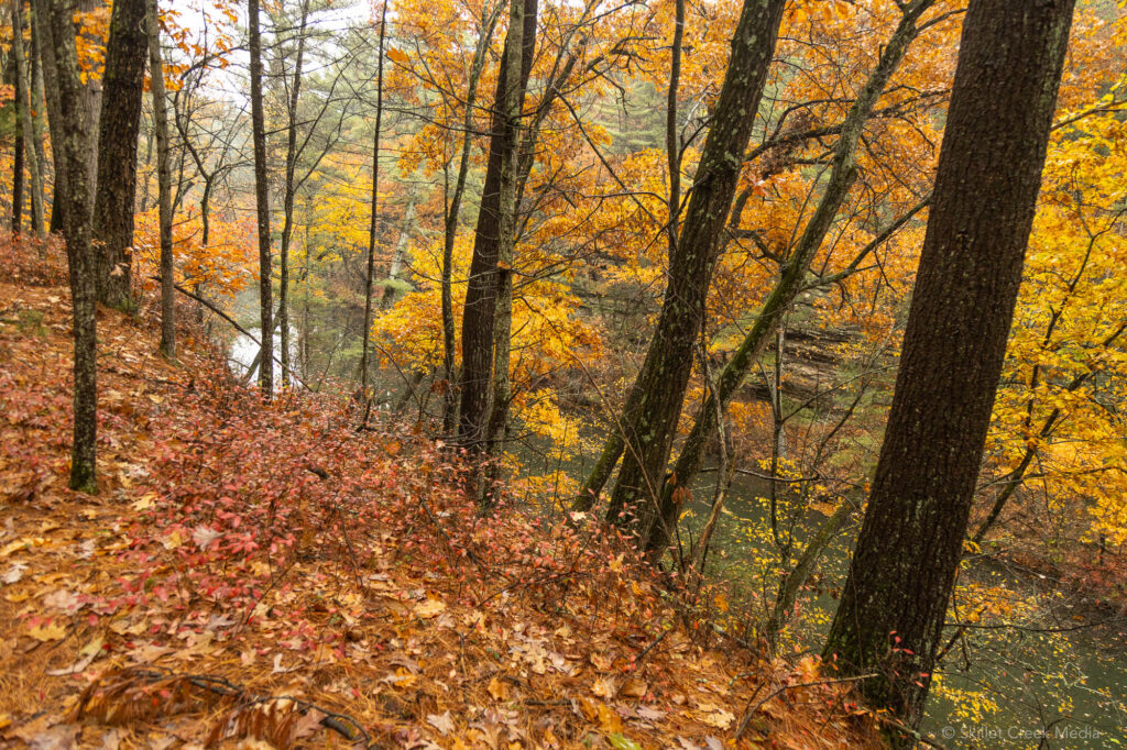 Mirror Lake State Park Color