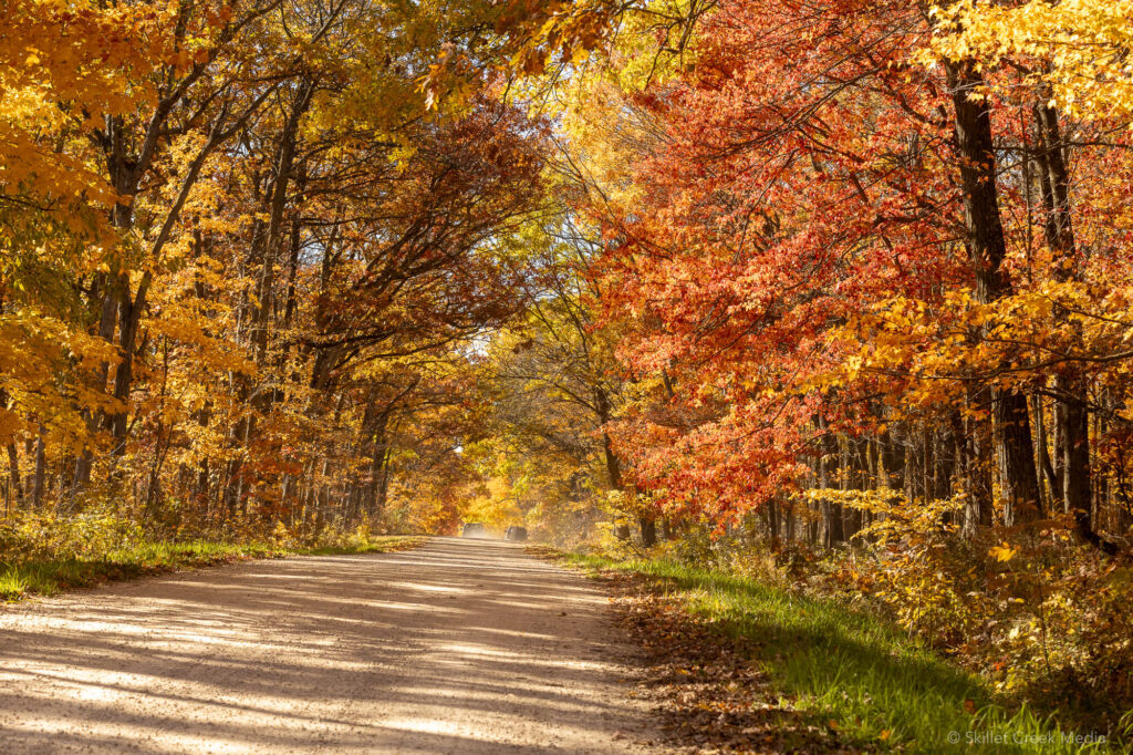 Sauk County Fall Color