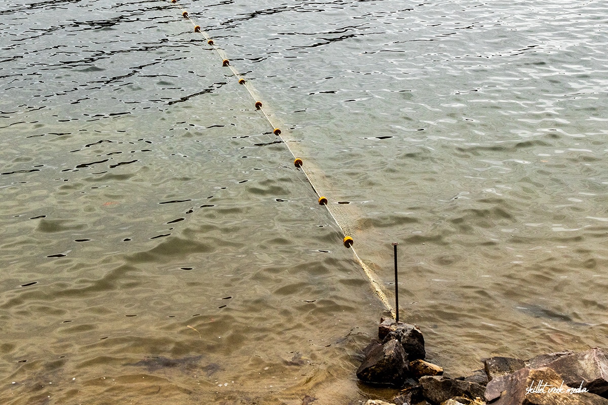 Fish Net in Devil's Lake