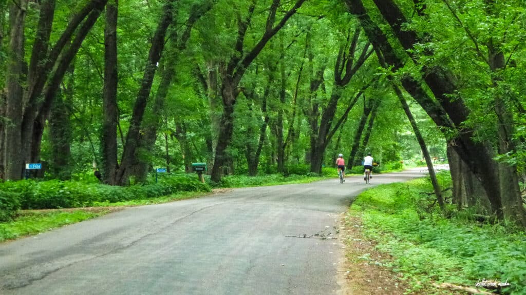 Riding Levee Road, Wisconsin.