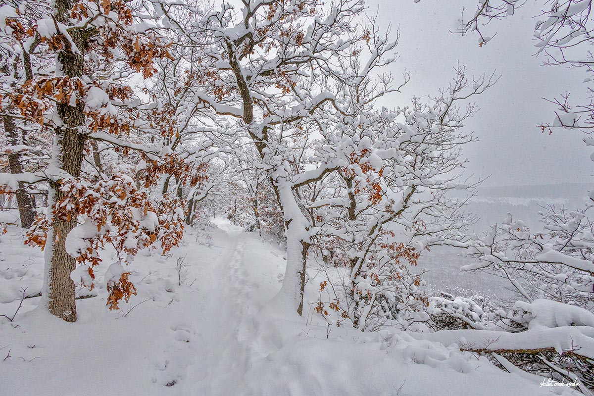 Winter snow, east bluff, Devil's Lake State Park, 2024.