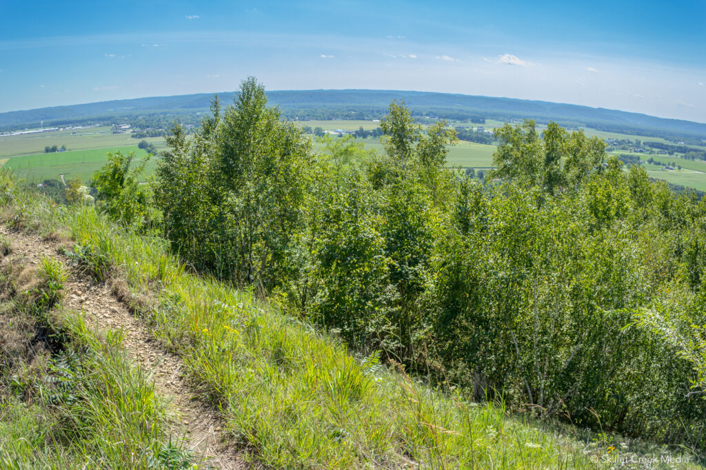 Spring Green Preserve