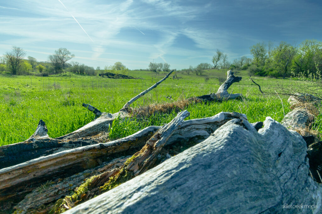 Sauk Prairie Recreation Area